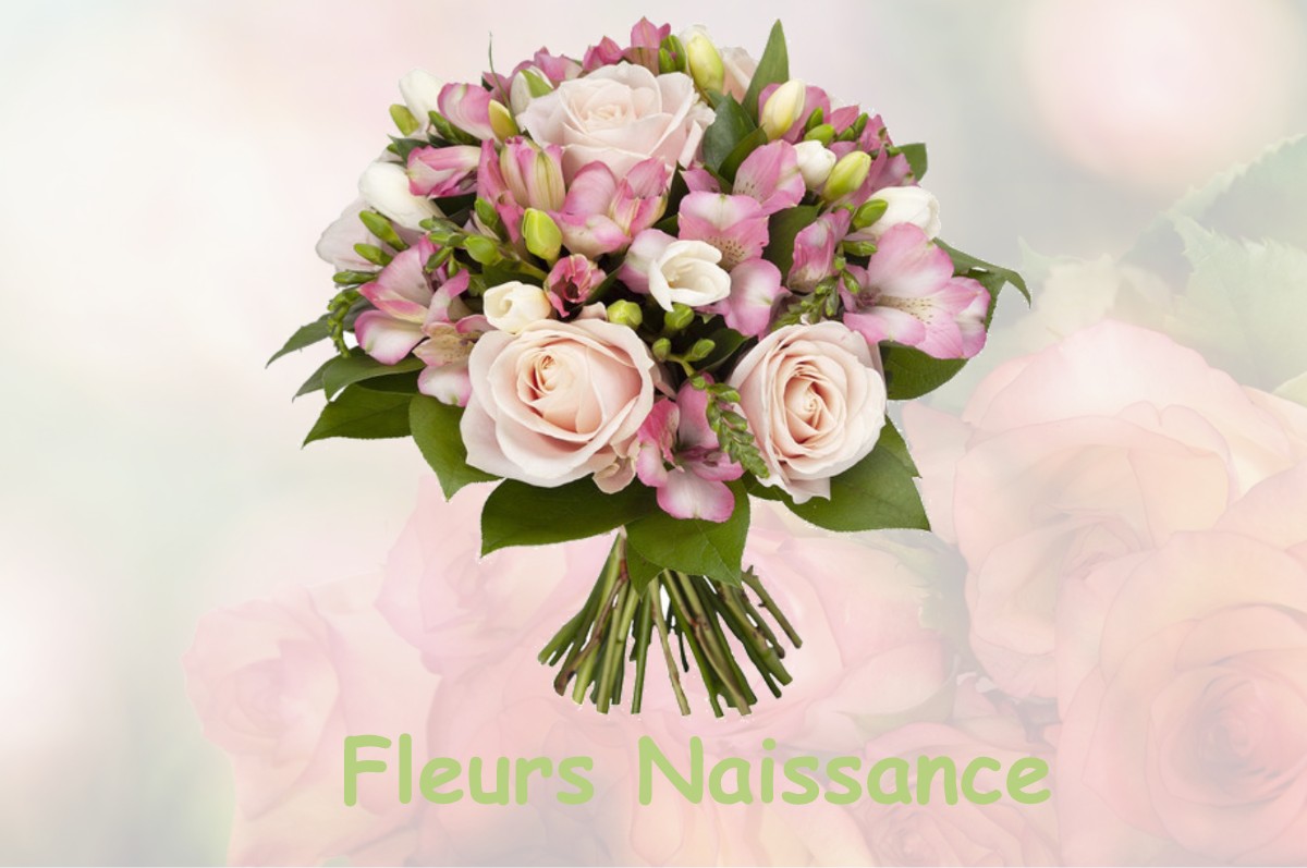 fleurs naissance ASCHERES-LE-MARCHE